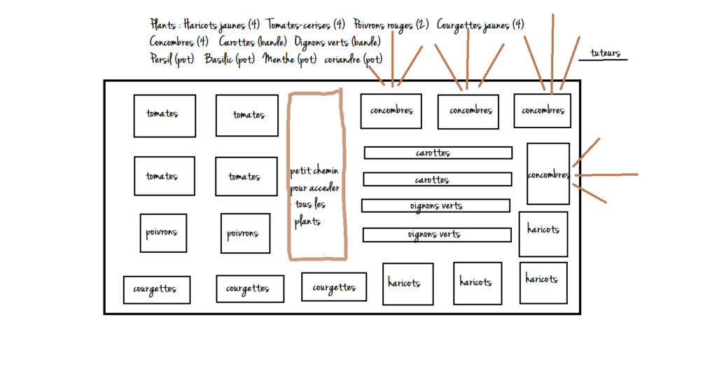 croquis de potager